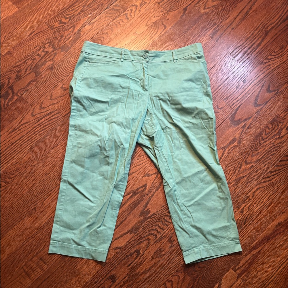 LOFT  Original Crop Mint Green